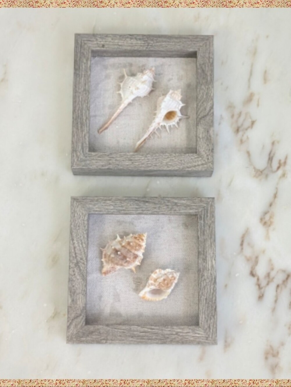 Coastal Seashell Shadow Box Wall Art Beach Home Decor